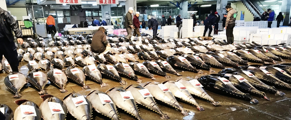 魚万生駒 特殊部